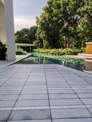 Ardmore Residence (D10), Condominium #582353561